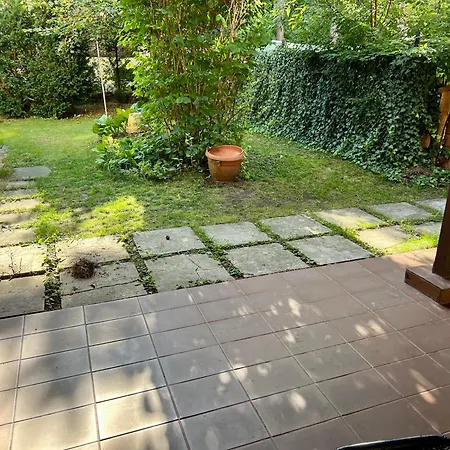 Sosnowy Apartment Józefów